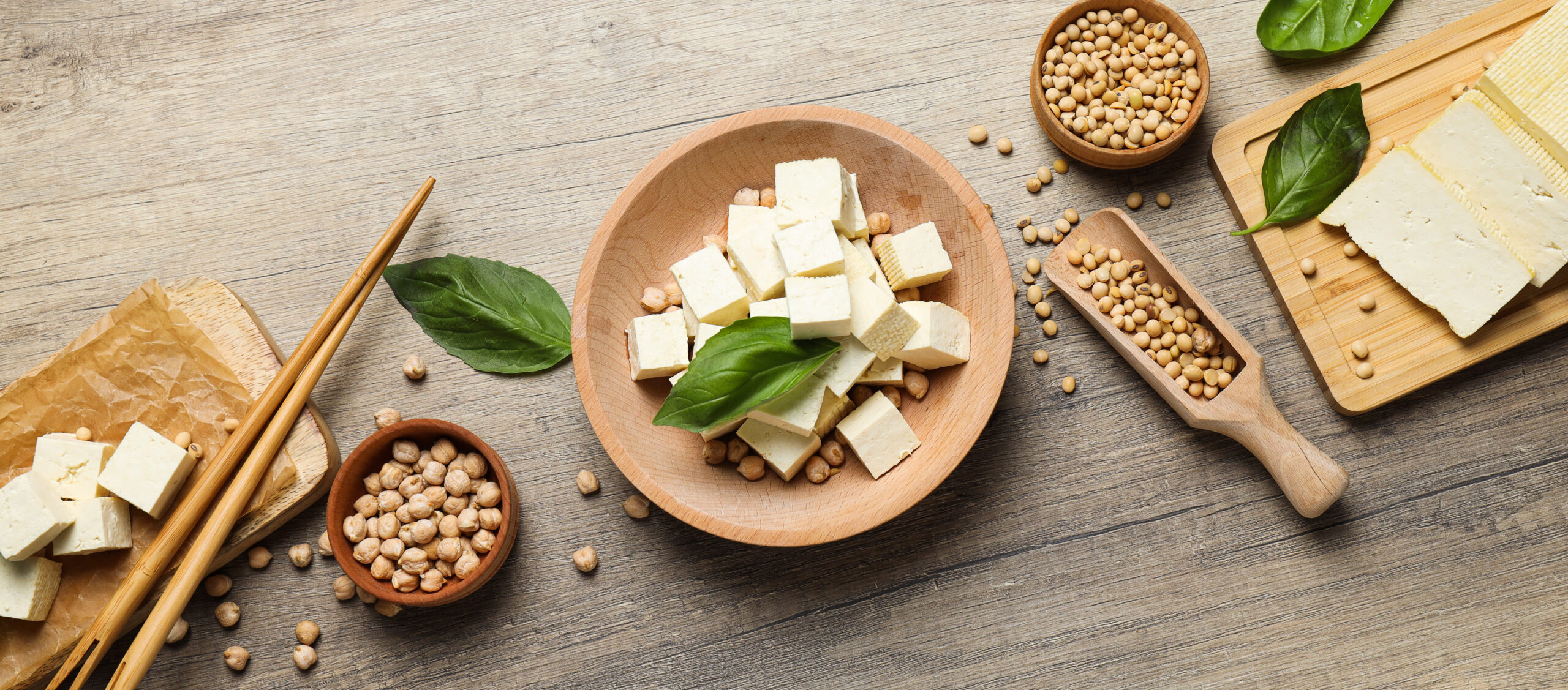 protein: tofu, plant source